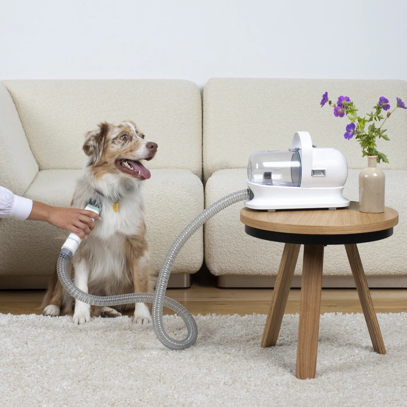 Purrfect Trim The 5-in-1 Grooming Kit